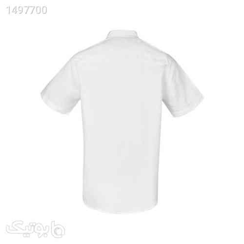 https://botick.com/product/1497700-پیراهن-آستین-کوتاه-مردانه-بادی-اسپینر-مدل-1106-کد-1-رنگ-سفید