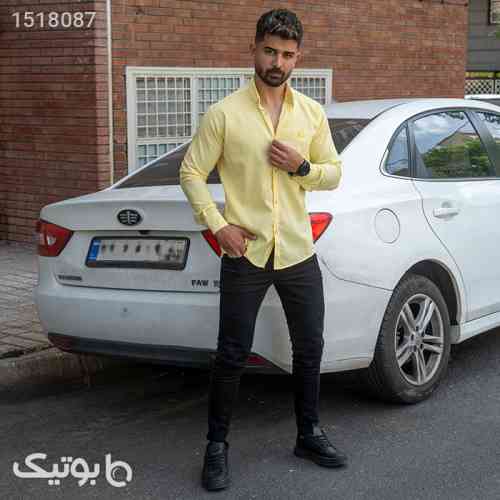 https://botick.com/product/1518087-پیراهن-مردانه-لیمویی-مدل-Fendi