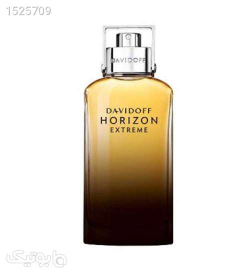 ادو پرفیوم مردانه مدل Horizon Extreme حجم 125 میل قهوه ای 02 2023