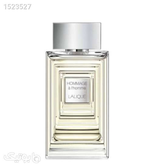 عطر مردانه هوم ایج 100 میلی لیتر سفید 02 2023