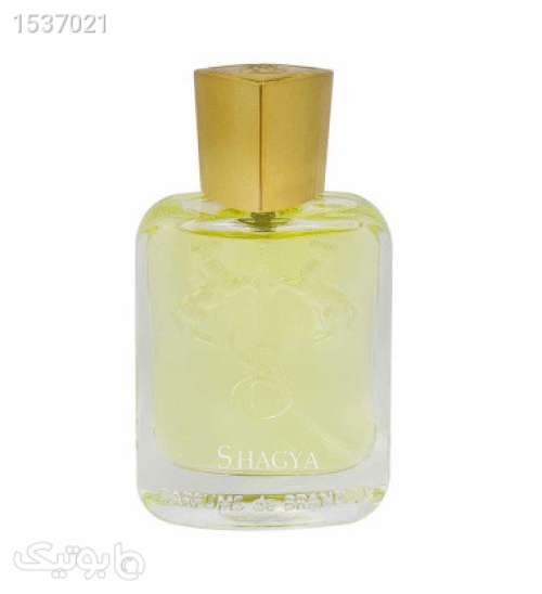 عطر مردانه Shagya حجم 33میل زرد 02 2023