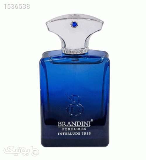 عطر مردانه اینترلود 33 میل آبی 02 2023