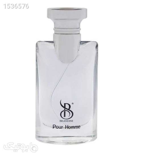عطر مردانه پور هوم حجم 25میل نقره ای 02 2023