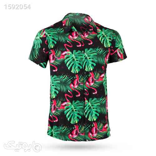 https://botick.com/product/1592054-پیراهن-هاوایی-مردانه-GREEN-مدل-1838----