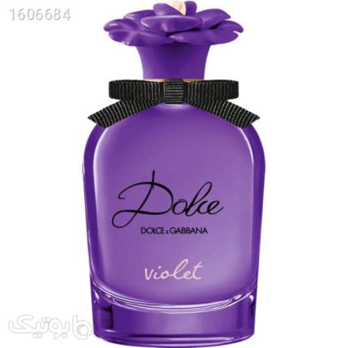 dolce violet دولچه گابانا دولچه ولوت بنفش 03 2024