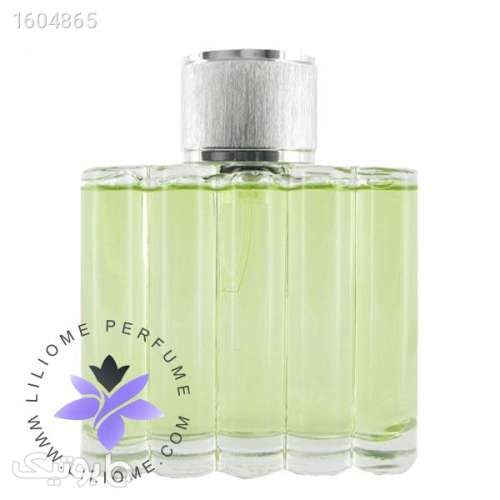 عطر ادکلن دیویدوف گود لایف مردانه | Davidoff Good Life سبز 03 2024