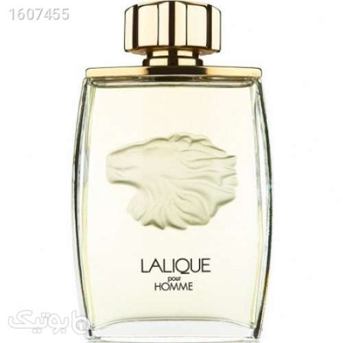 lalique pour homme edp لالیک پورهوم ادو پرفیوم لالیک شیر طلایی 03 2024