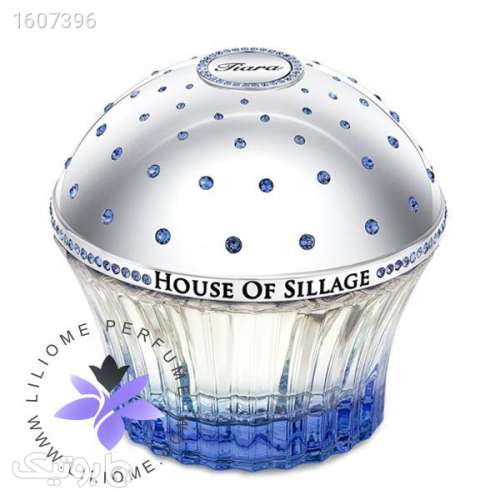 عطر ادکلن هاوس آف سیلیج تیارا | House Of Sillage Tiara نقره ای 03 2024