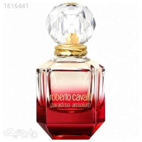 paradiso assoluto روبرتو کاوالی پارادایسو اسولوتو قرمز 04 2025