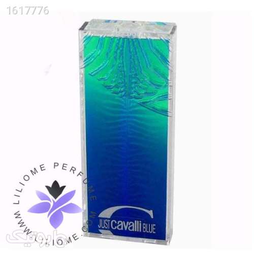 عطر ادکلن روبرتو کاوالی جاست کاوالی بلو | Roberto Cavalli Just Cavalli Blue آبی 04 2025