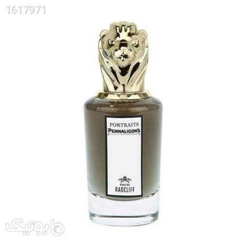 عطر ادکلن پنهالیگونز رورینگ رادکلیف | Penhaligon8217;s Roaring Radcliff نقره ای 04 2025