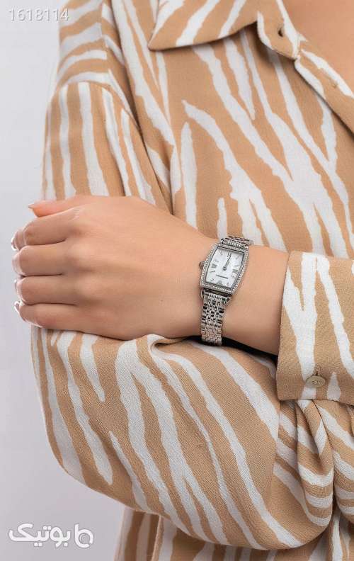 EMPORIO ARMANI / امپریو آرمانی زنانه نقره ای 04 2025