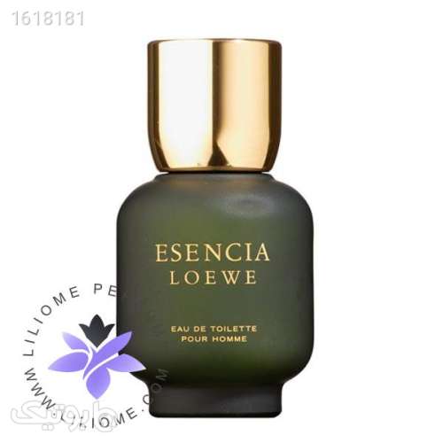تستر اورجینال عطر لوئو اسنسیا مردانه | Loewe Esencia pour Homme Tester 150ml سبز 04 2025