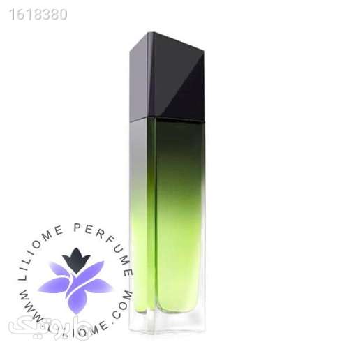 عطر ادکلن جیوانچی وری ایرسیستیبل مردانه | Givenchy Very Irresistible for men سبز 04 2025