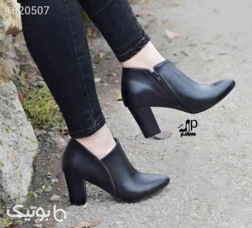 کفش پرطرفدار 