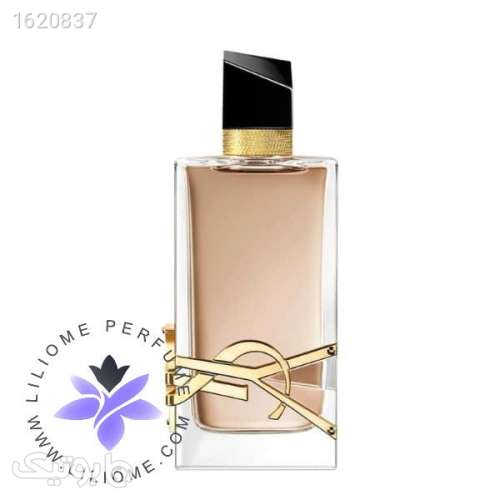 عطر ادکلن ایو سن لورن لیبر فلاورز اند فلیمز | Yves Saint Laurent Libre Flowers amp; Flames کرم 04 2026