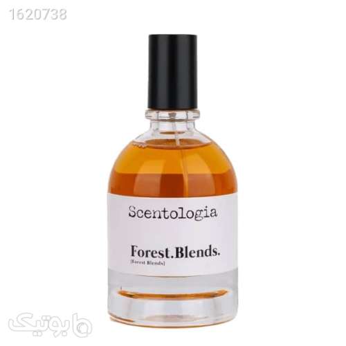 عطر سنتولوژیا فورست بلندر | Scentologia Forest.Blends نارنجی 04 2026
