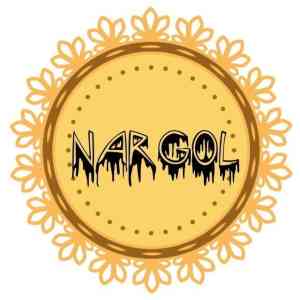نارگل-logo